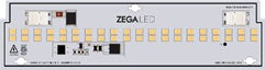 ZEGA LED Module: LIN Series