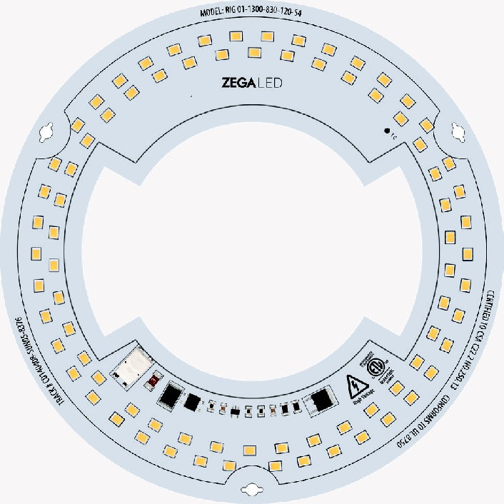 ZEGA LED Module: RIG Series